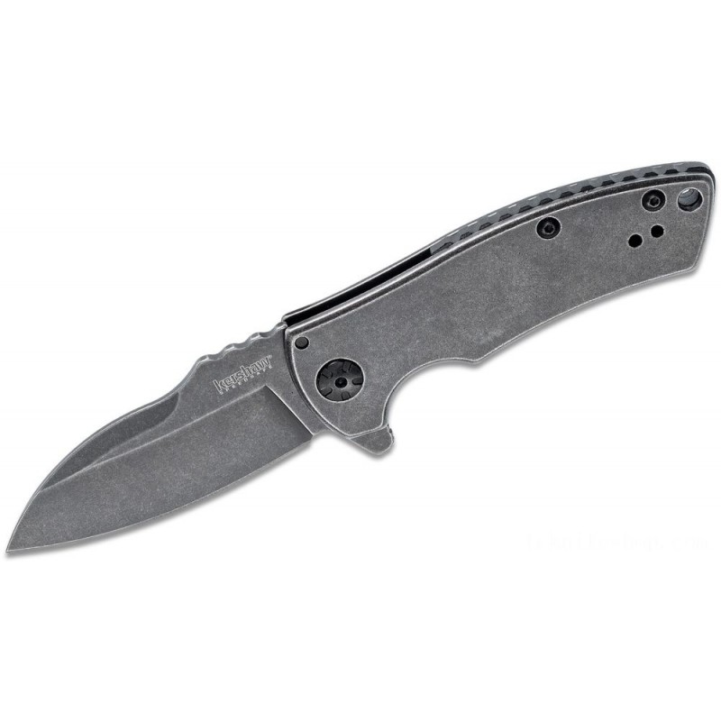 Kershaw 3450BW Les George Spline Assisted Flipper 2.9 Blackwashed Blade and Stainless-steel Handles
