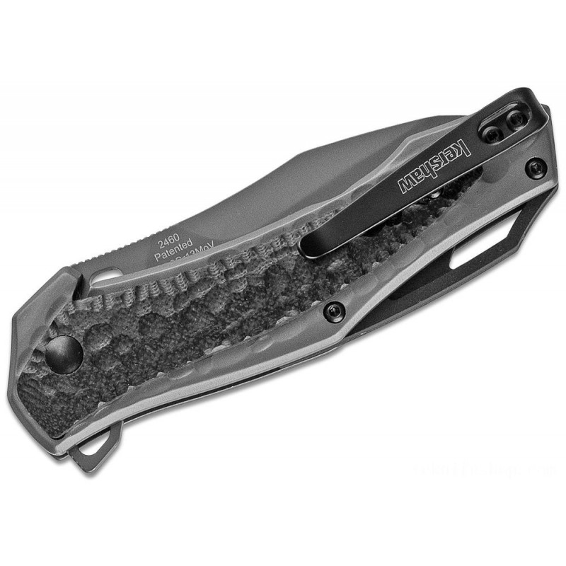 Kershaw 2460 Vedder Assisted Fin 3.25 Gray Sheepsfoot Blade, Gray Steel Manages with G10 Overlays
