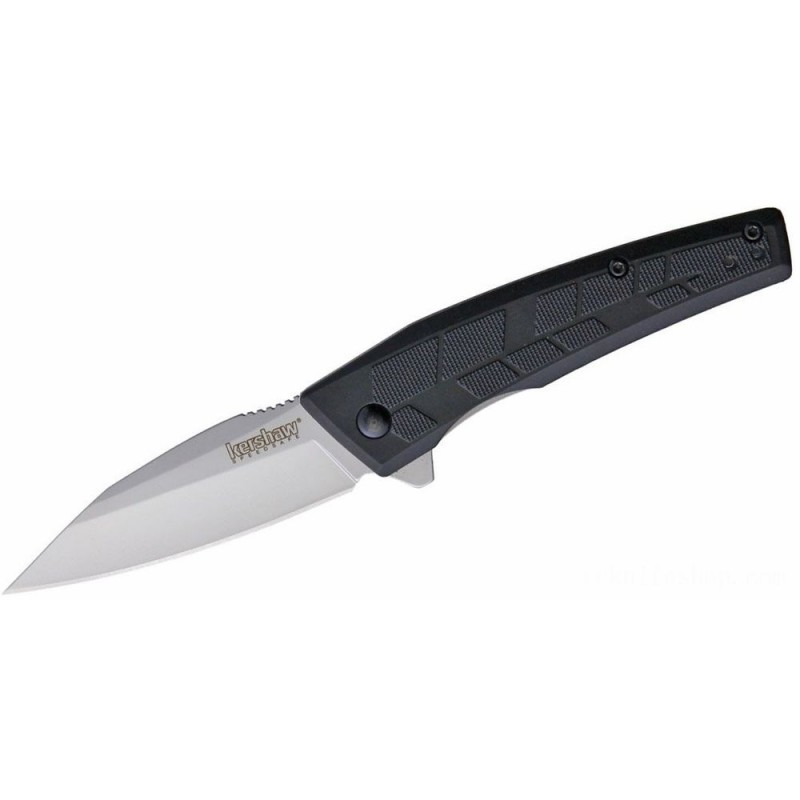 Kershaw 1342 Rhetoric Assisted Fin Blade 2.9 3Cr13 Grain Blasted Drop Factor Cutter, African-american GFN Deals With - 1342X