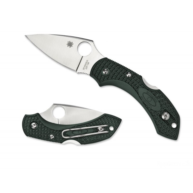 Spyderco Dragonfly 2 FRN British Racing Environment-friendly ZDP189 —-- Level Side.