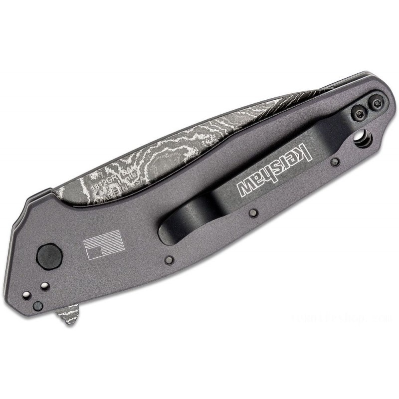 Kershaw 1812GRYDAM Returns Supported Fin Blade 3 Damascus Ordinary Blade, Gray Light Weight Aluminum Manages
