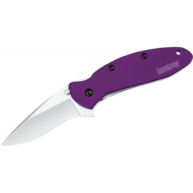 Kershaw 1620PUR Ken Onion Scallion Assisted Fin Knife 2.25 Grain Blast Level Blade, Purple Aluminum Takes Care Of