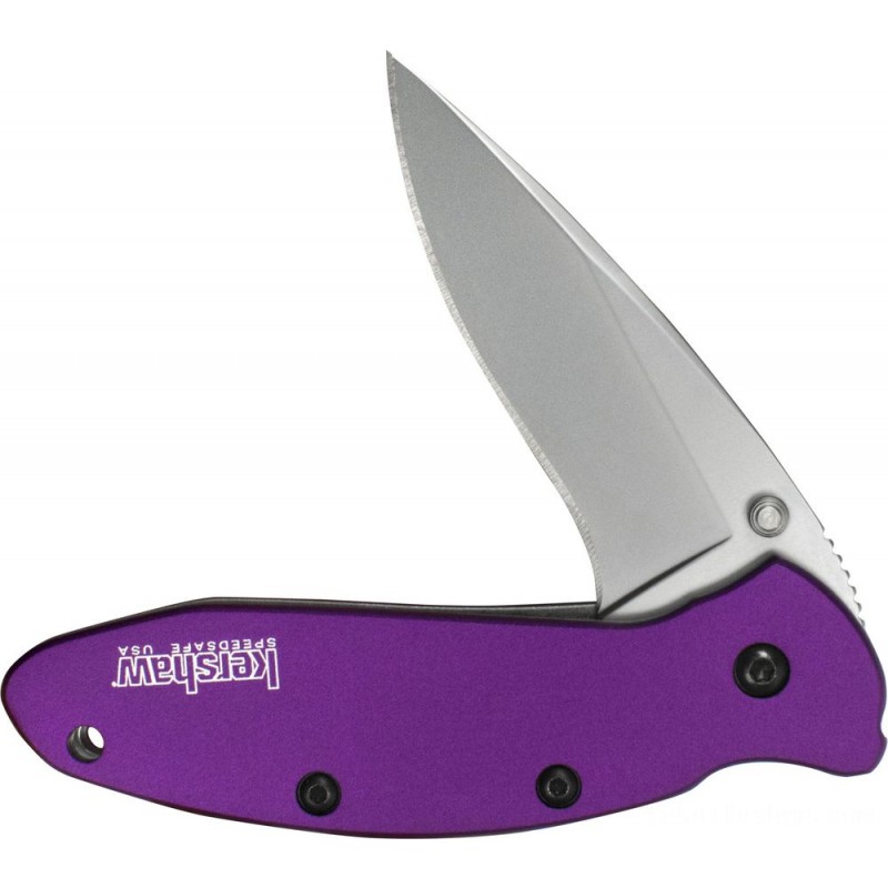 Kershaw 1620PUR Ken Onion Scallion Assisted Fin Blade 2.25 Bead Blast Level Blade, Violet Light Weight Aluminum Deals With