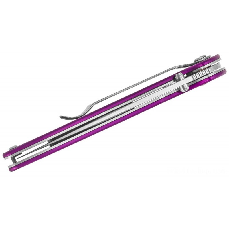 Kershaw 1660PUR Ken Onion Leek Assisted Fin Blade 3 Bead Blast Level Blade, Violet Light Weight Aluminum Deals With
