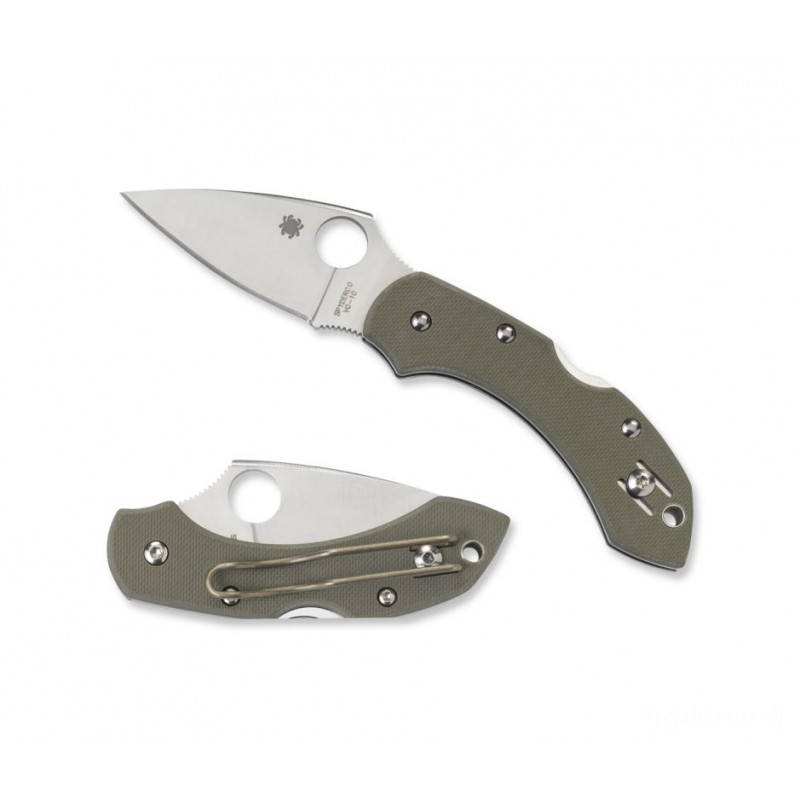 Spyderco Dragonfly G-10 Leaves Green —-- Ordinary Side.