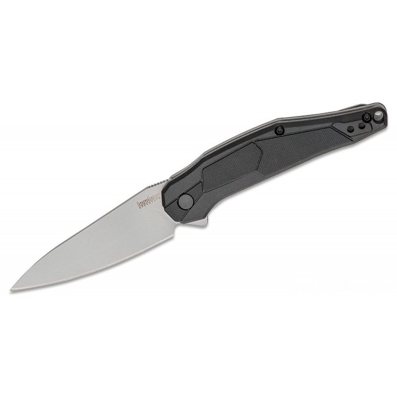 Kershaw 1395 Lightyear Assisted Flipper Knife 3.125 Bead Blasted Plain Cutter, African-american GFN Takes Care Of