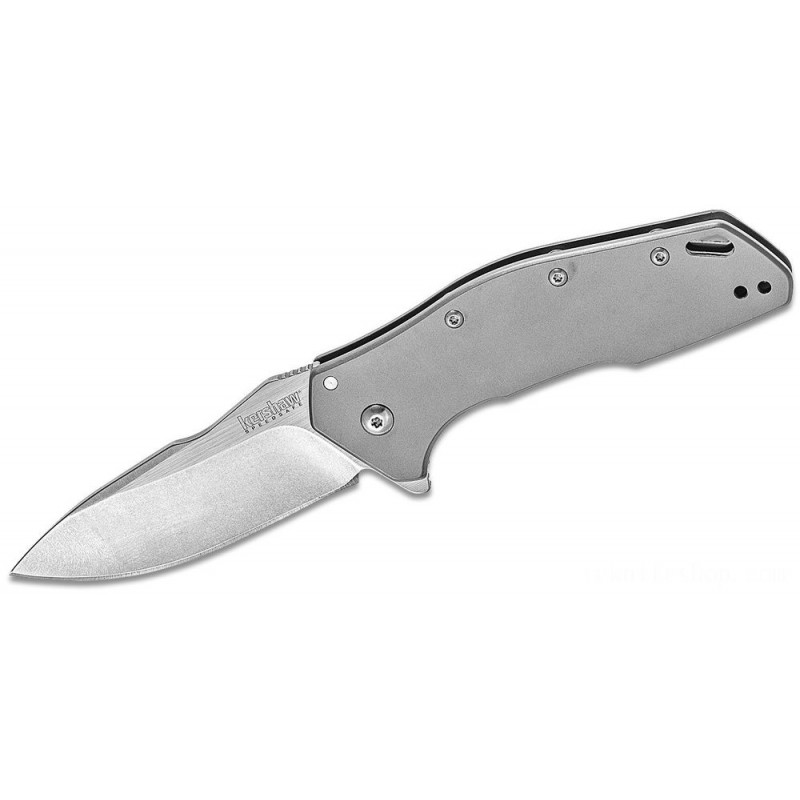 Kershaw 1881 Eris Assisted Fin 3 Two-Tone Decline Point Blade, Gray Steel Handles