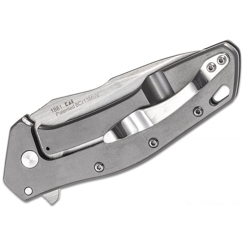 Kershaw 1881 Eris Assisted Fin 3 Two-Tone Decrease Aspect Cutter, Gray Steel Deals With