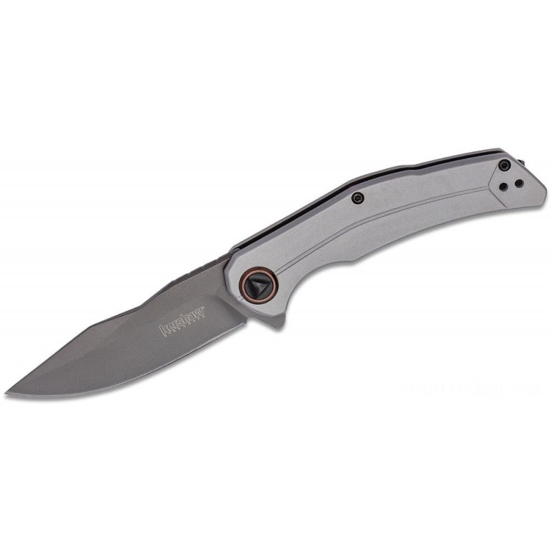 Kershaw 2070 Follower Assisted Flipper Blade 3.25 Gray PVD Clip Factor Blade, Stainless Steel Deals With