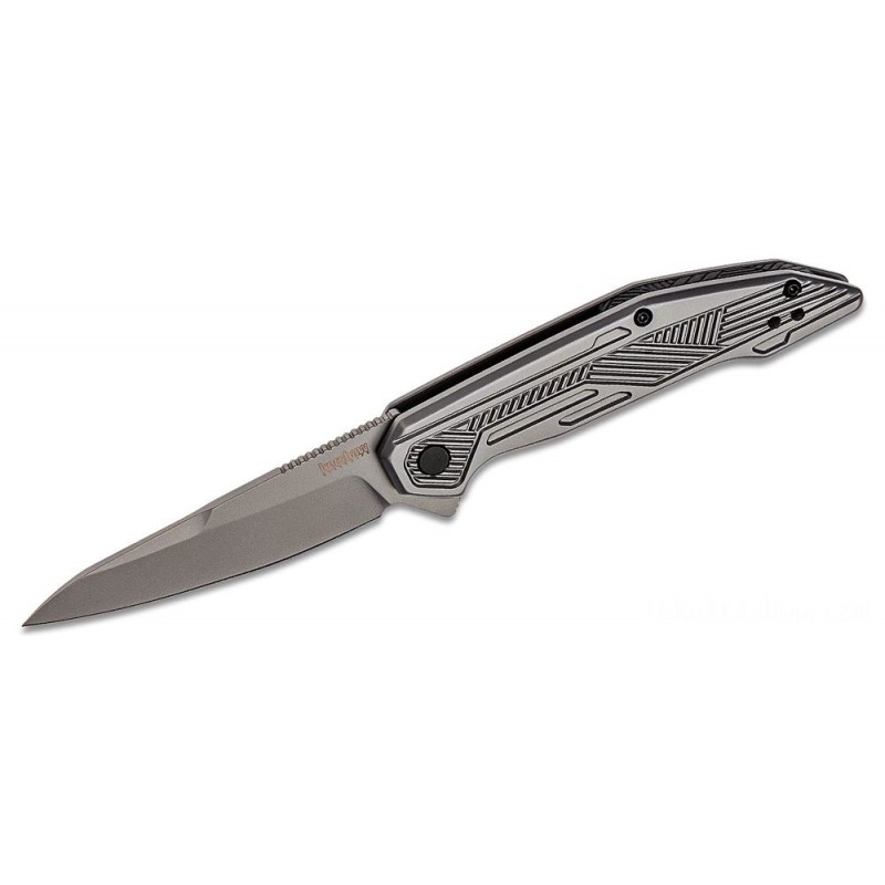 Kershaw 2080 Terran Assisted Fin Knife 3.13 Grain Blasted Sheepsfoot Blade, Grain Blasted Stainless-steel Deals With
