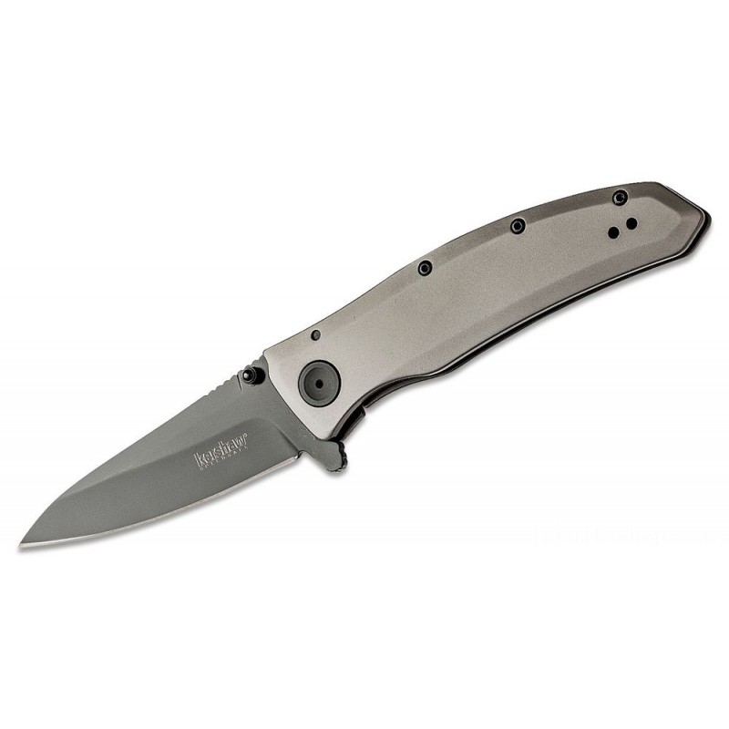Promotional - Kershaw 2200 Grid Assisted Fin 3.7  Cutter, Stainless-steel Handles - Web Warehouse Clearance Carnival:£30[nenf415ca]