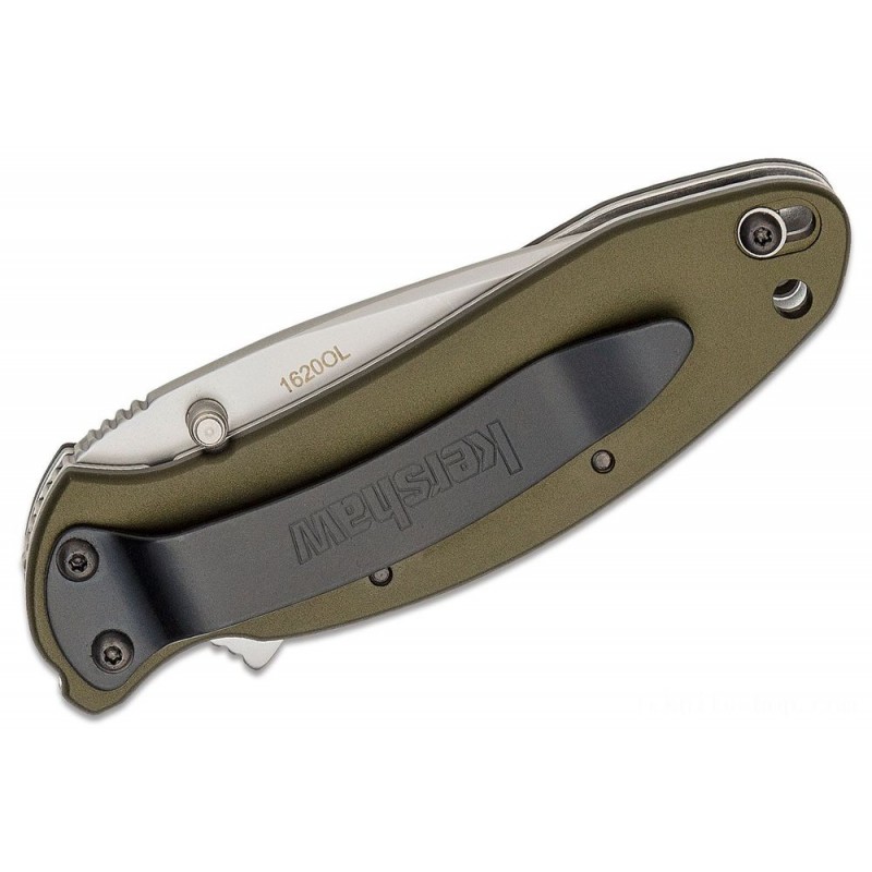 Kershaw 1620OL Ken Red Onion Scallion Assisted Fin Knife 2.25 Grain Blast Level Cutter, Olive Drab Aluminum Manages