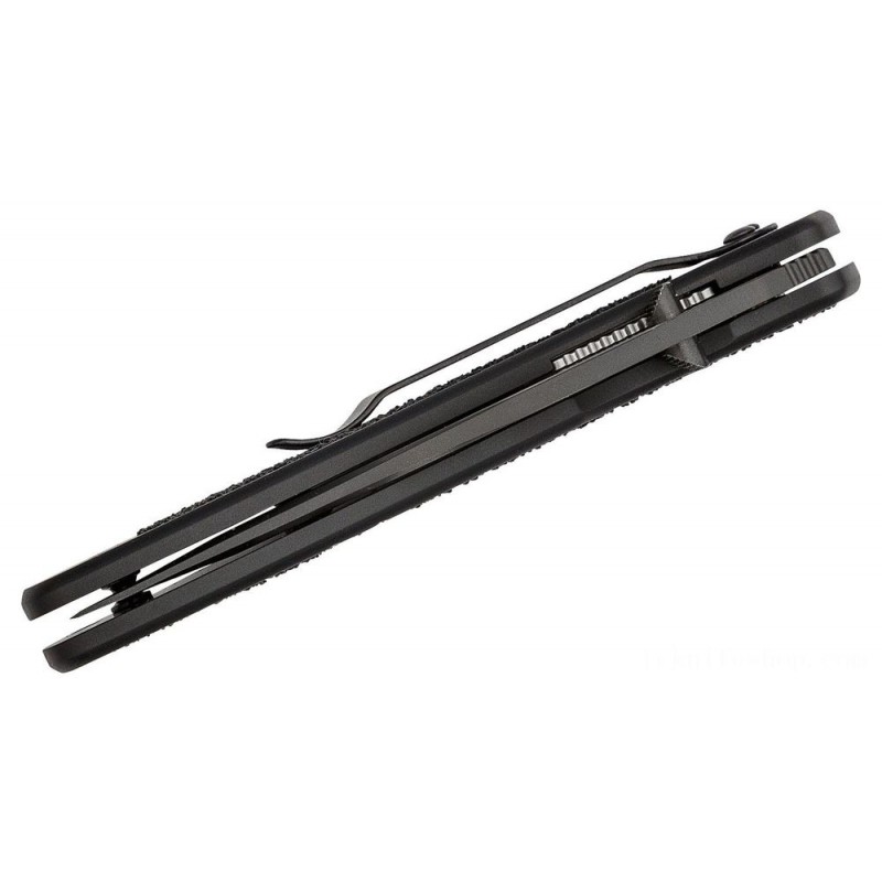 Kershaw 1670TTS Ken Onion Blur Assisted Foldable Blade 3.4 BDZ1 Leopard Stripe Ordinary Tanto Blade, Black Aluminum Deals With