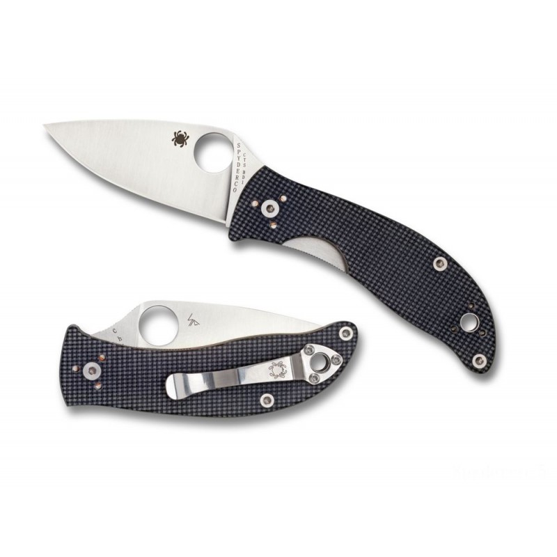 October Halloween Sale - Spyderco Alcyone G-10 Grey —-- Level Side. - End-of-Year Extravaganza:£50