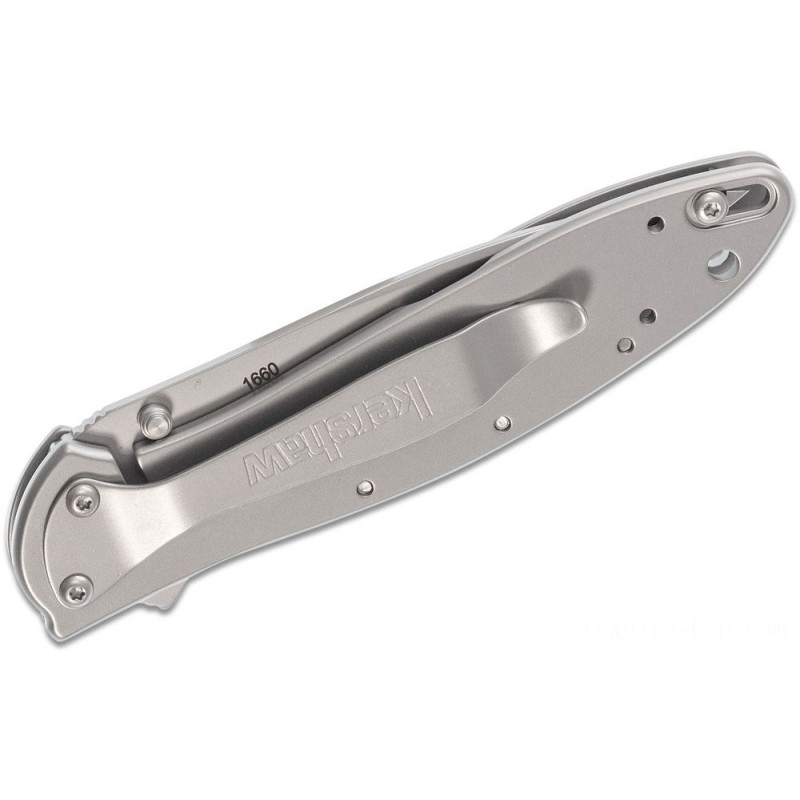 Kershaw 1660 Ken Onion Leek Assisted Flipper Knife 3 Bead Bang Level Cutter, Stainless Steel Takes Care Of