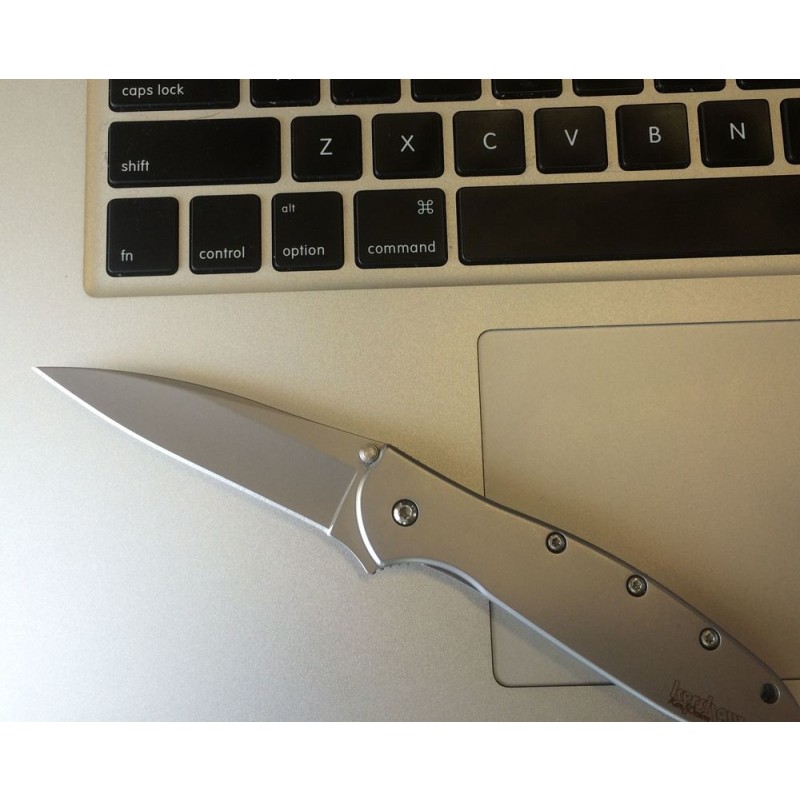 Holiday Sale - Kershaw 1660 Ken Onion Leek Assisted Flipper Knife 3 Bead Blast Plain Blade, Stainless Steel Manages - Spree:£37[sanf455nt]