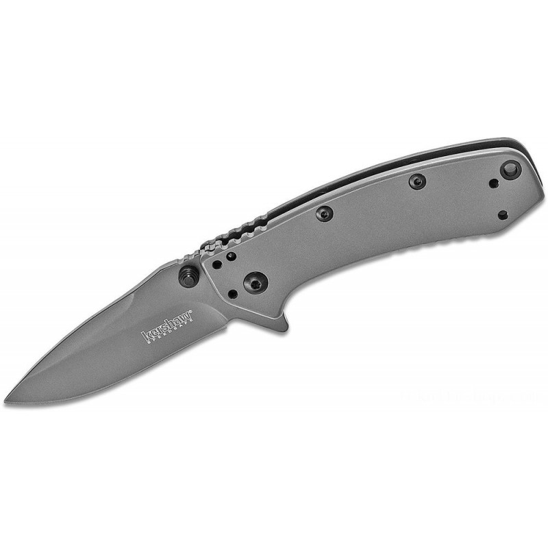 Kershaw 1555Ti Cryo Assisted Fin Blade 2.75 Gray Level Blade and Stainless Steel Deals With