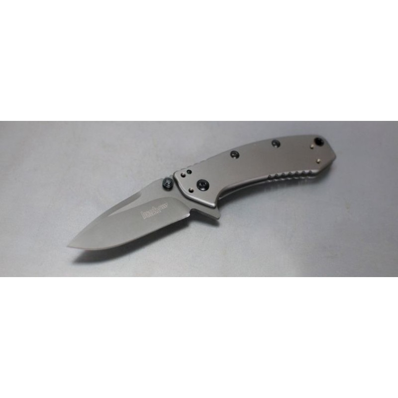 Kershaw 1555Ti Cryo Assisted Flipper Blade 2.75 Gray Level Cutter and Stainless Steel Handles