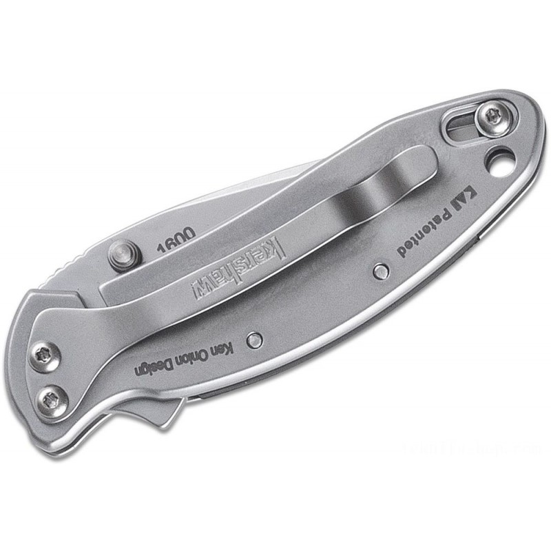 Kershaw 1600 Ken Onion Chive Assisted Fin Blade 1.9 Bead Blast Plain Blade, Stainless-steel Handles