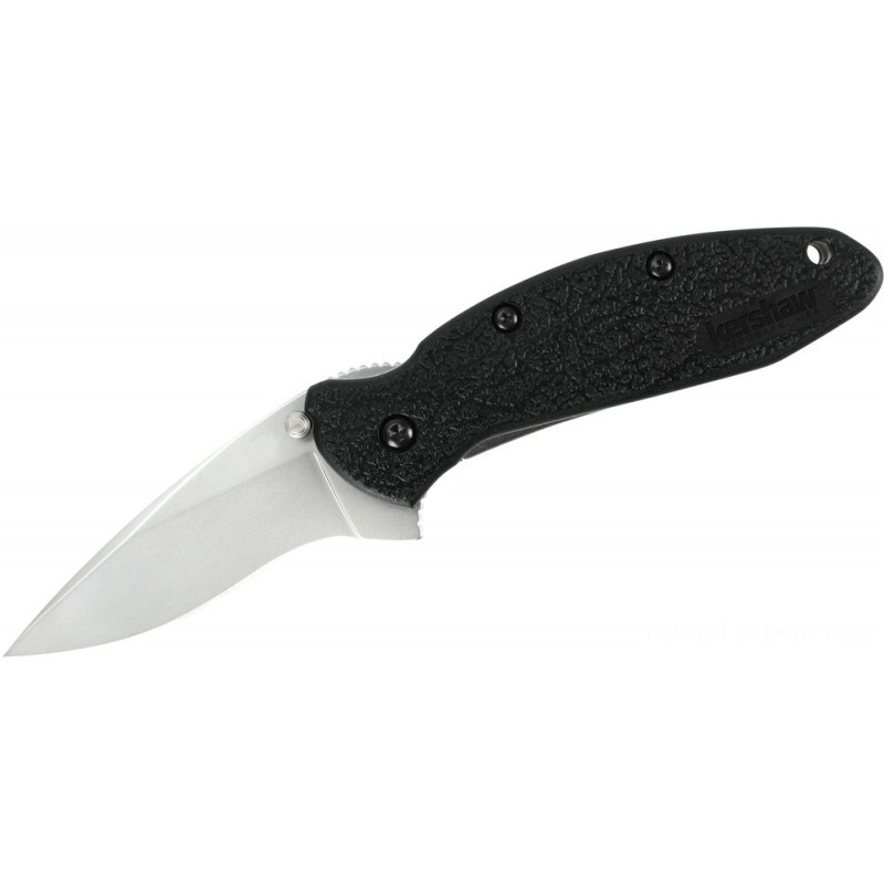 Kershaw 1620 Ken Onion Scallion Assisted Flipper Knife 2.25 Bead Bang Level Cutter, Afro-american GFN Takes Care Of