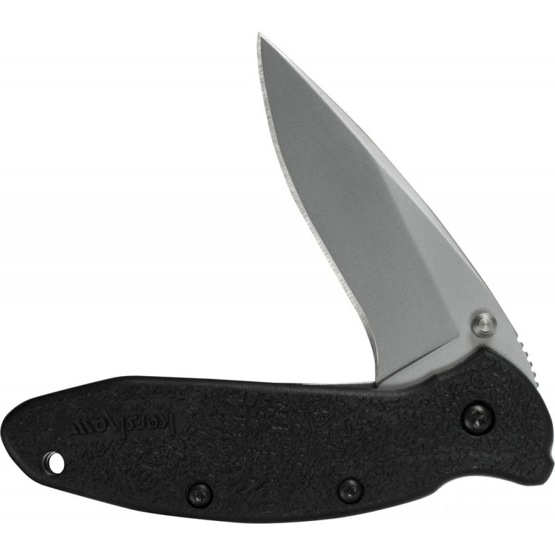 Kershaw 1620 Ken Red Onion Scallion Assisted Flipper Blade 2.25 Bead Blast Ordinary Cutter, Black GFN Takes Care Of