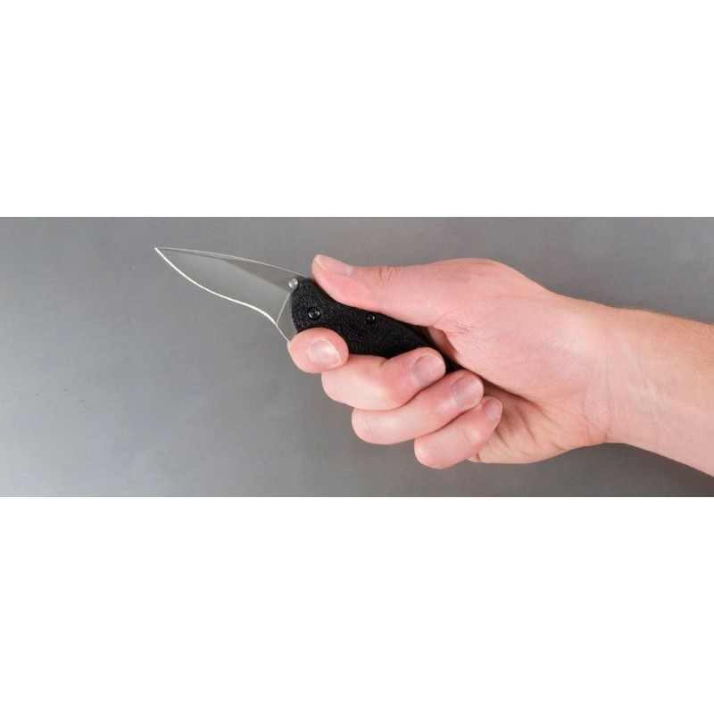 Kershaw 1620 Ken Onion Scallion Assisted Flipper Knife 2.25 Grain Burst Plain Cutter, Afro-american GFN Takes Care Of