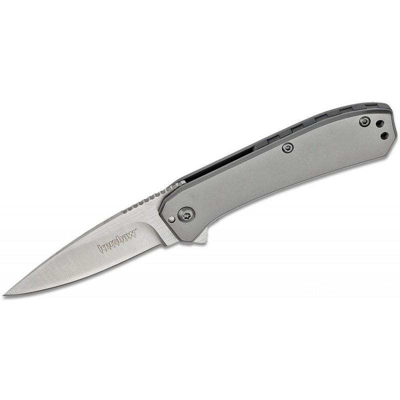 Kershaw 3870 Amplitude 2.5 Helped Flipper Blade 2.5 Satin Ordinary Cutter, Stainless Steel Manages
