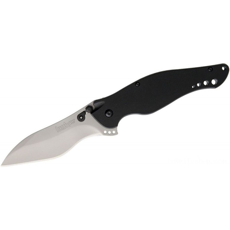 Kershaw 1595G10 Ken Red Onion Botts' Dots Supported Fin Blade 3.625 Grain Blasted Ordinary Blade, Black G10 Manages