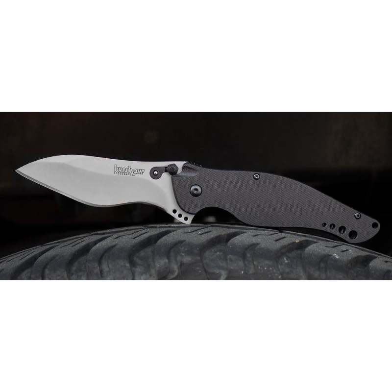 Kershaw 1595G10 Ken Red Onion Botts' Dots Supported Flipper Knife 3.625 Bead Blasted Level Cutter, Black G10 Manages