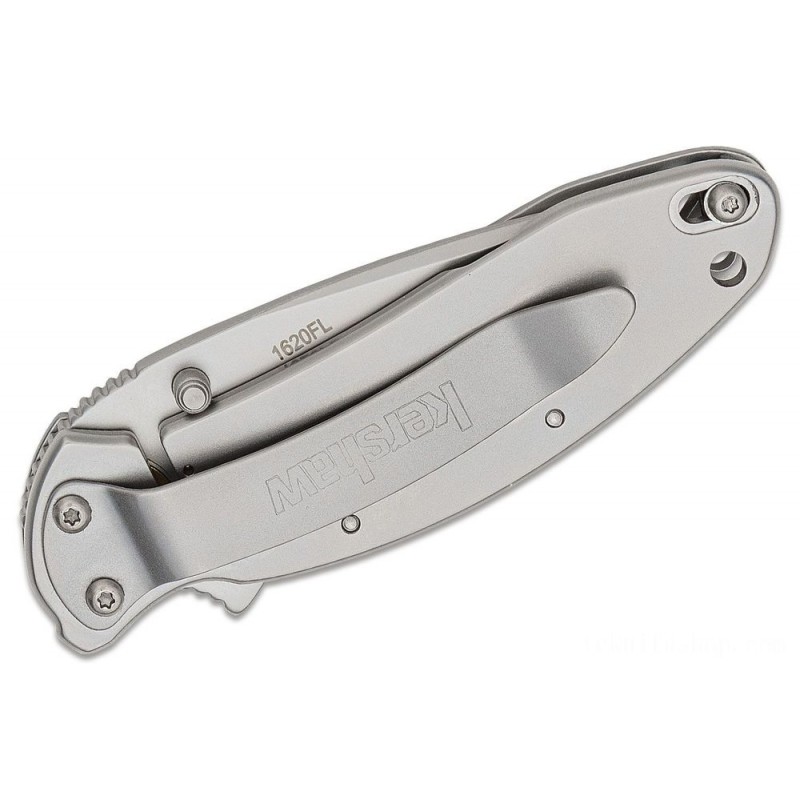 Kershaw 1620FL Ken Red Onion Scallion Assisted Flipper Knife 2.25 Grain Blast Level Blade, Stainless Steel Deals With