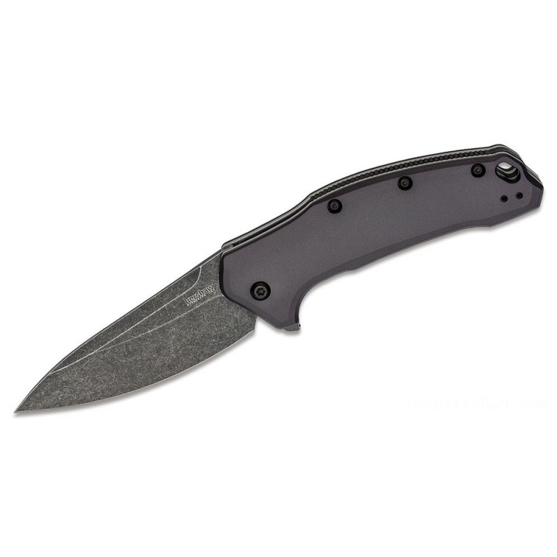 Price Cut - Kershaw 1776GRYBW Web Link Assisted Fin Blade 3.25 Blackwash Plain Blade, Gray Aluminum Manages - Fourth of July Fire Sale:£38