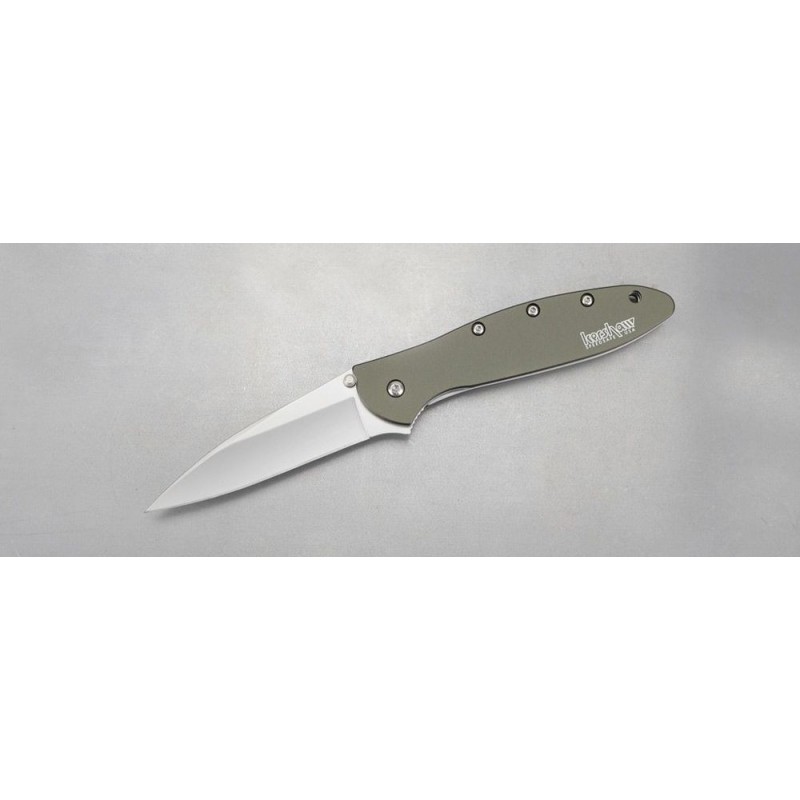 Kershaw 1660OL Ken Red Onion Leek Assisted Fin Knife 3 Bead Bang Ordinary Blade, OD Environment-friendly Light Weight Aluminum Manages