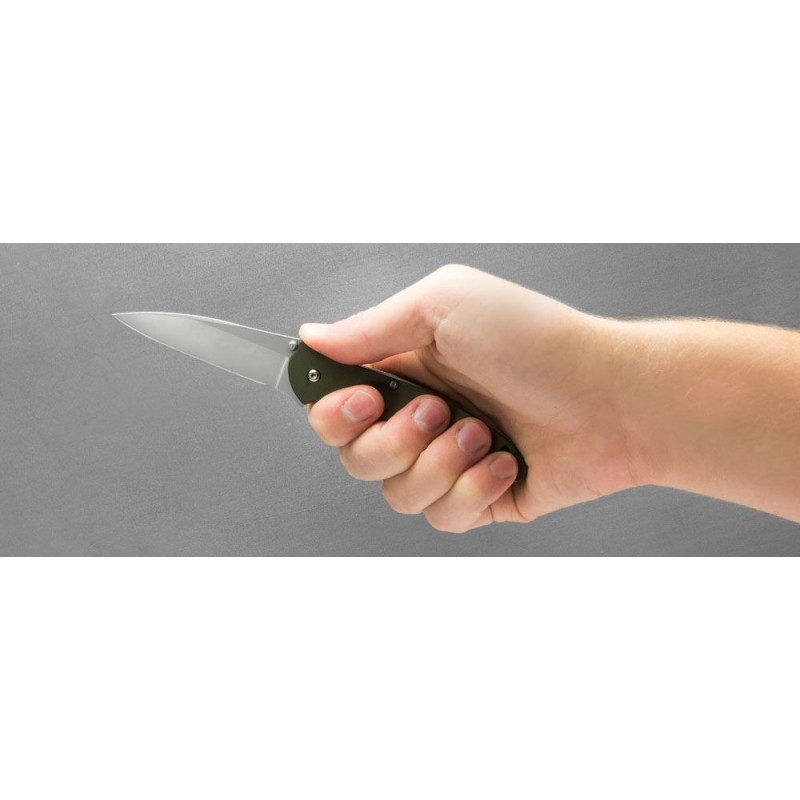 Mother's Day Sale - Kershaw 1660OL Ken Red Onion Leek Assisted Fin Blade 3 Grain Bang Ordinary Cutter, OD Environment-friendly Light Weight Aluminum Manages - Liquidation Luau:£44[alnf549co]