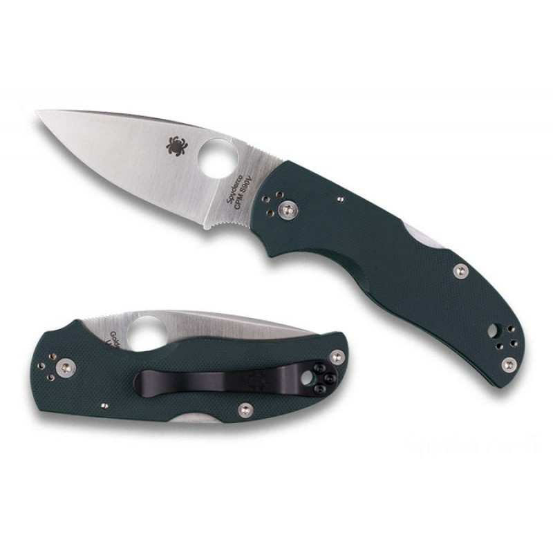 Spyderco Native 5 Polished G-10 Forest Eco-friendly CPM S90V Exclusive - Mix Edge/Plain Side.