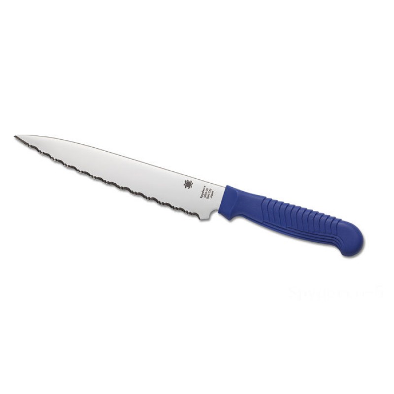 Spyderco Energy Knife 6 BLUE —-- Spyder Edge