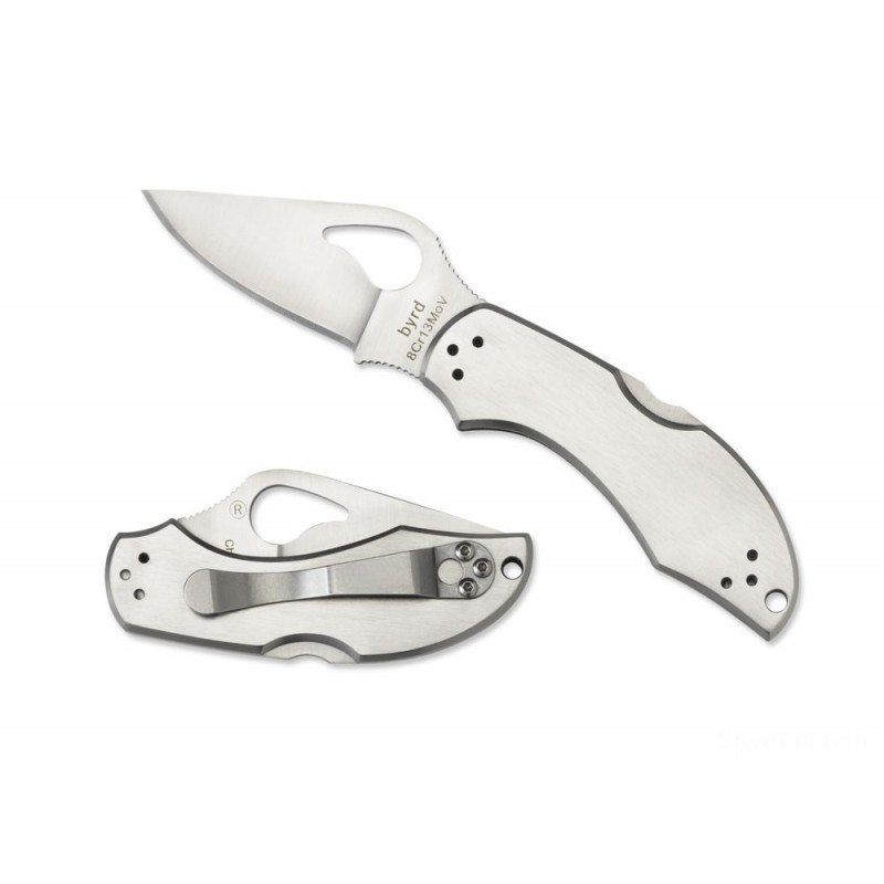 Spyderco byrd Robin 2 Stainless Steel Deal With —-- Level Side.