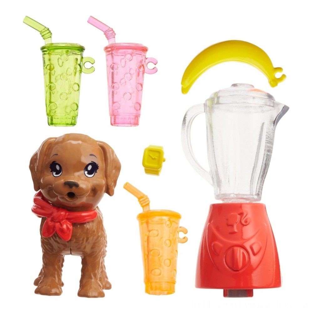 Barbie Sis Stacie Toy and Healthy Smoothie Device Put