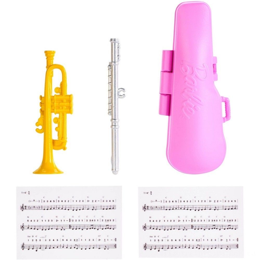 Barbie Music Instructor Toy && Playset