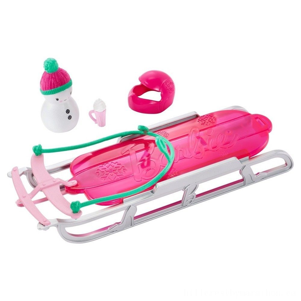 Barbie Siblings' Sledding Exciting and Dolly Playset