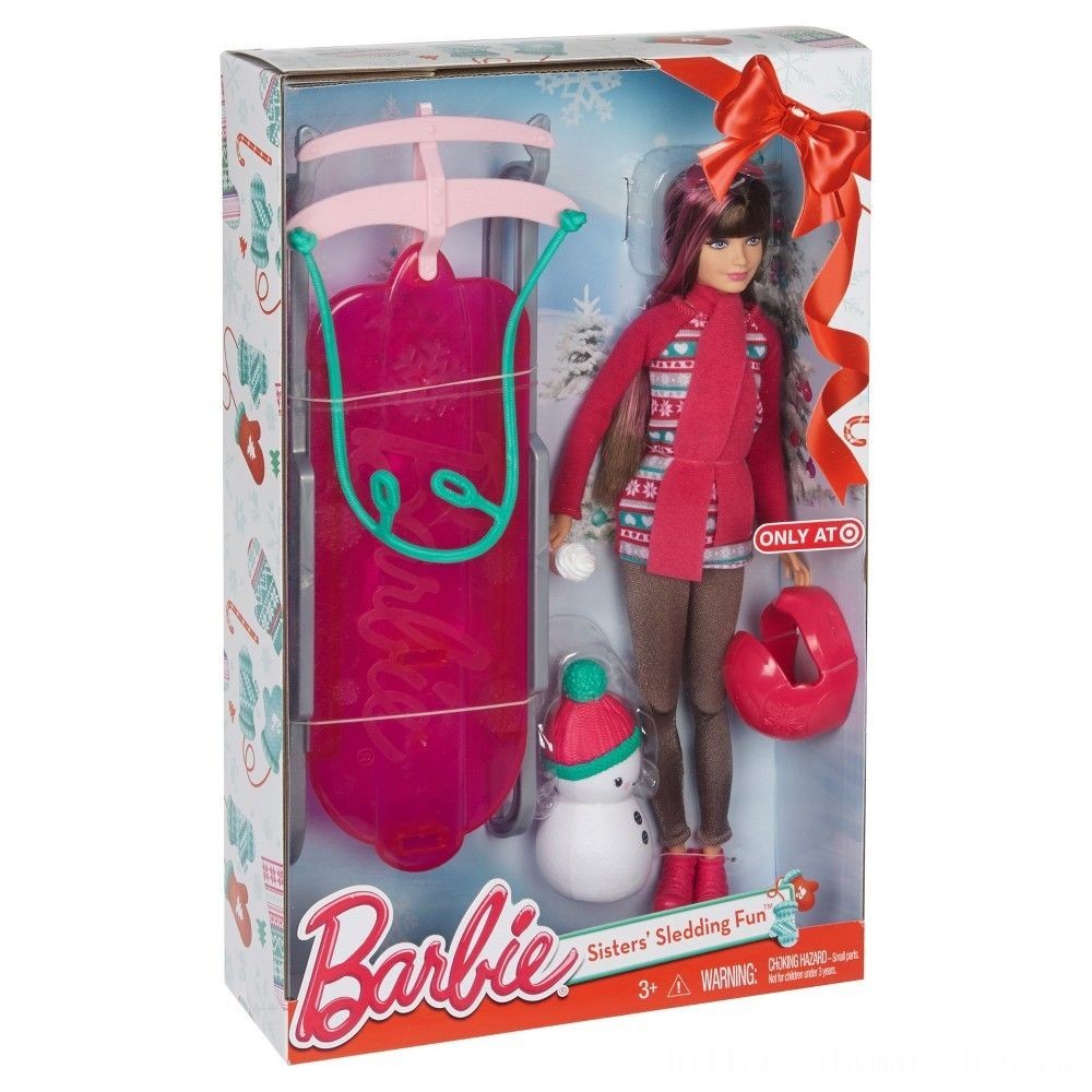 Barbie Siblings' Sledding Fun and Dolly Playset