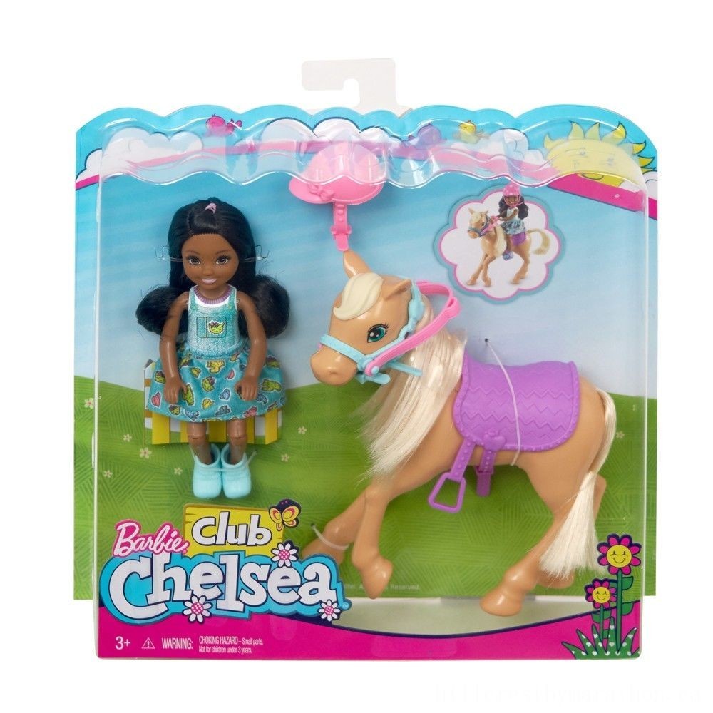Barbie Nightclub Chelsea Toy && Pony