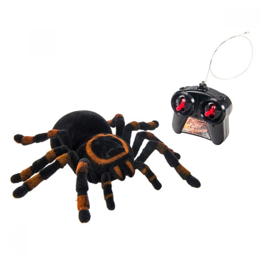 Price Drop - Remote Control Arachnid - Digital Doorbuster Derby:£16