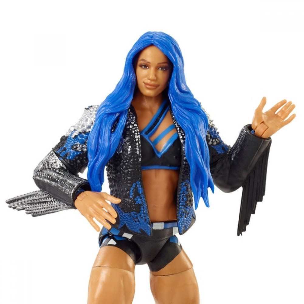 WWE Elite Collection 83 Sasha Financial Institutions