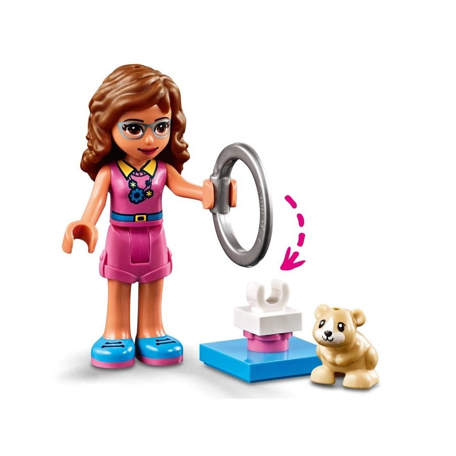 Lego Pals Olivia'S Hamster Play ground