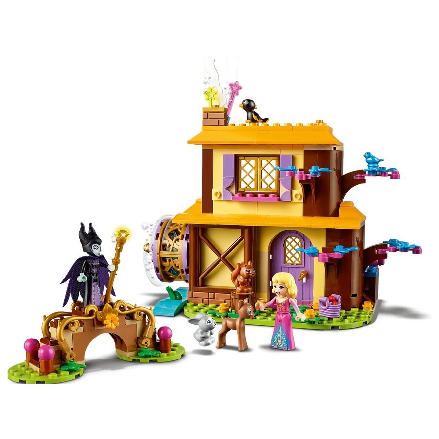 Lego Disney Aurora'S Rainforest Cottage