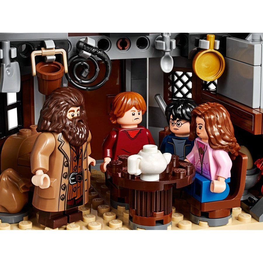 Price Crash - Lego Harry Potter Hagrid'S Hut: Buckbeak'S Rescue - Crazy Deal-O-Rama:£46