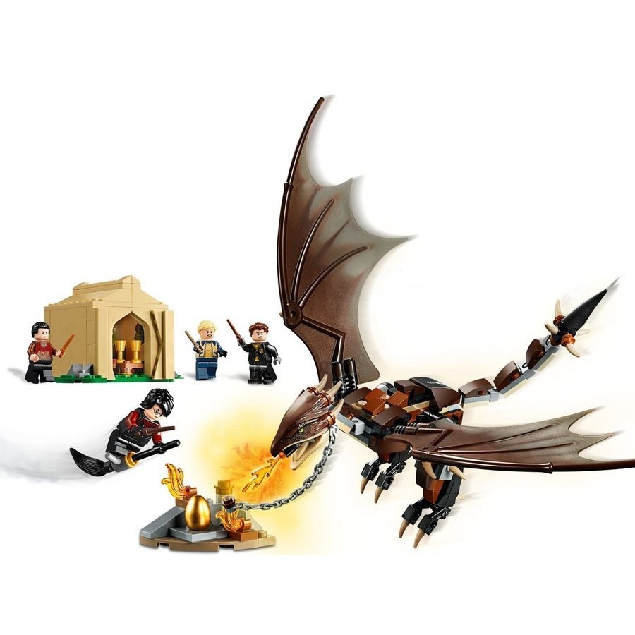 Lego Harry Potter Hungarian Horntail Triwizard Problem