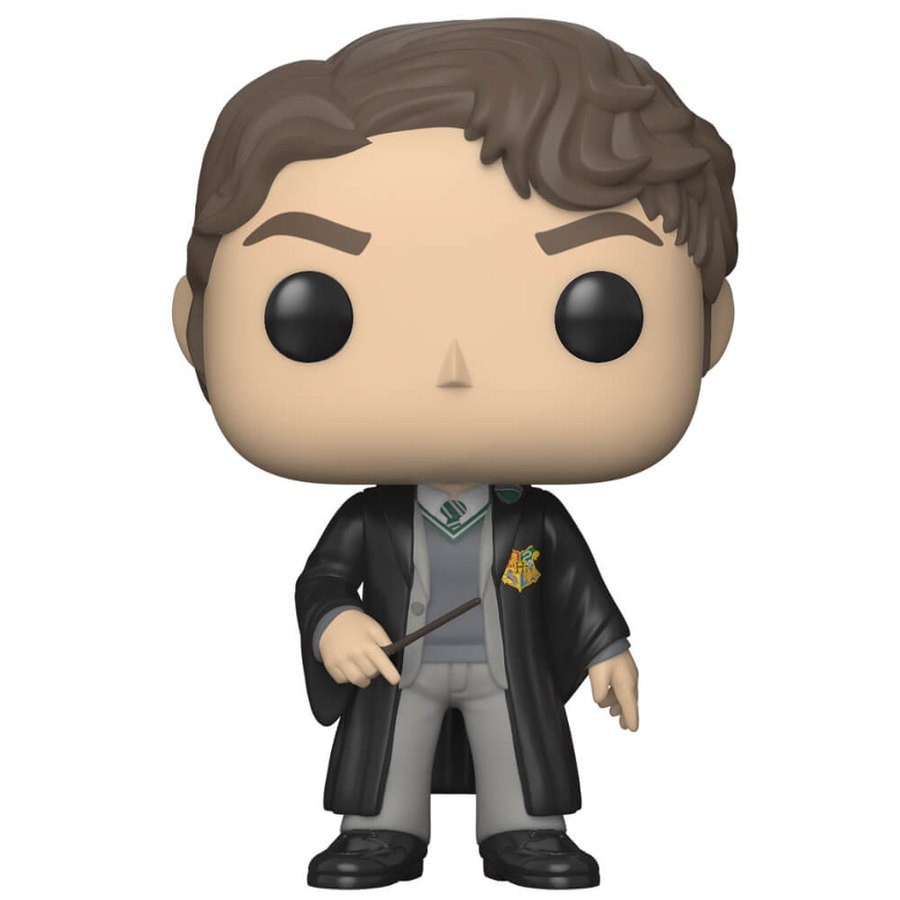Harry Potter Tom Riddle Funko Stand Out! Vinyl