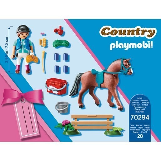 Playmobil 70294 Horse Farm Ability Establish