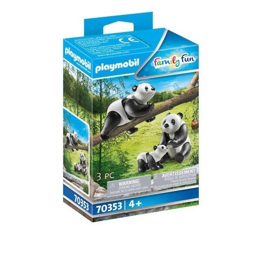 Playmobil 70353 Household Exciting Pandas along with Cub
